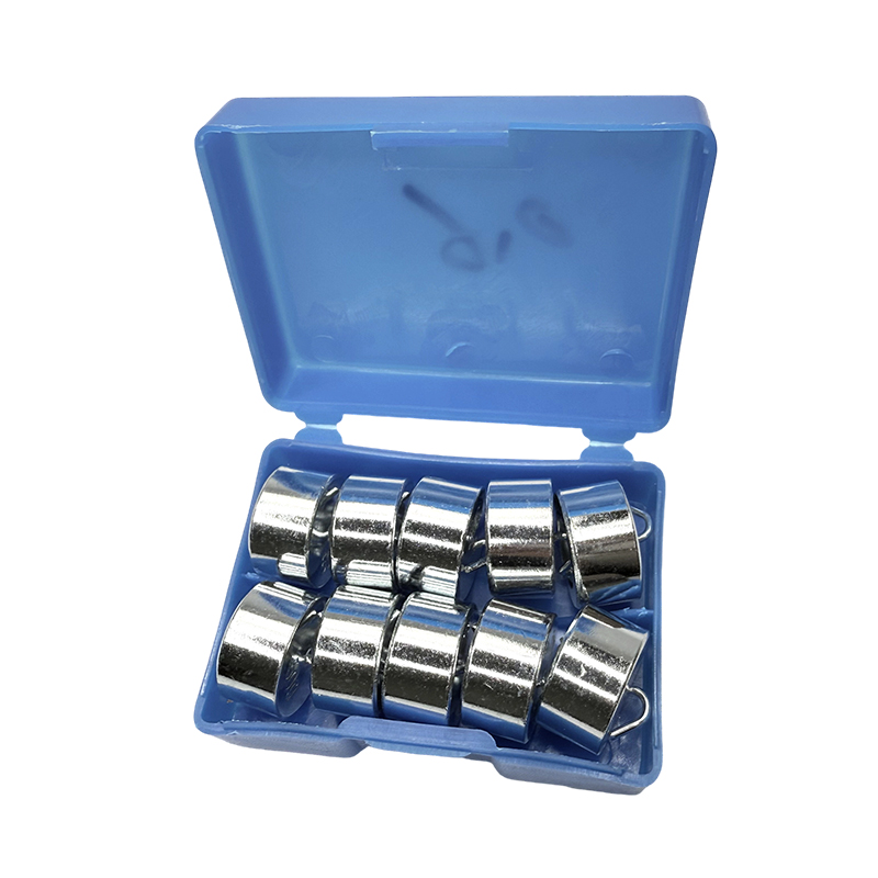 Eğitici kancalı ağırlık seti 50gx10PCS/okul fizik laboratuvarı enstrüman bilim deney ve öğretim seti